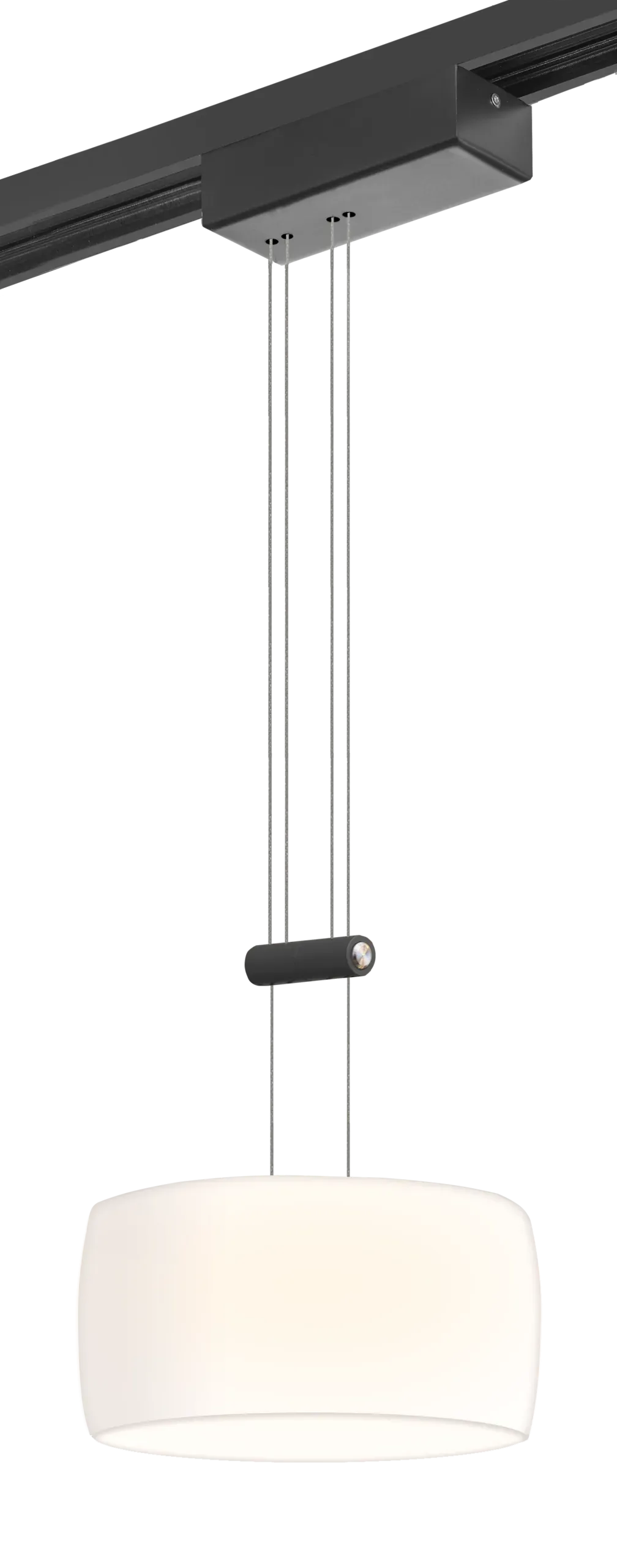 Pendelleuchte Core in Schwarz