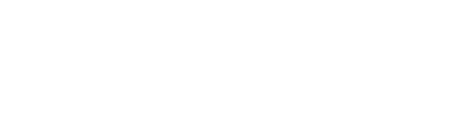Lumexx light systems Logo
